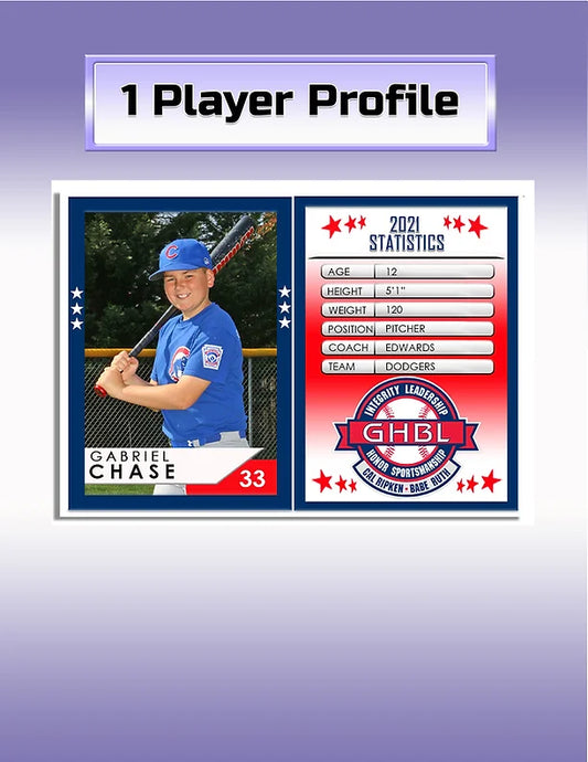 1 Player Profile